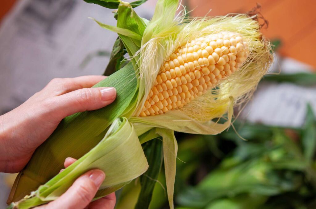 The Best Way To Shuck Corn in One Swift Move, According to a Corn Farmer