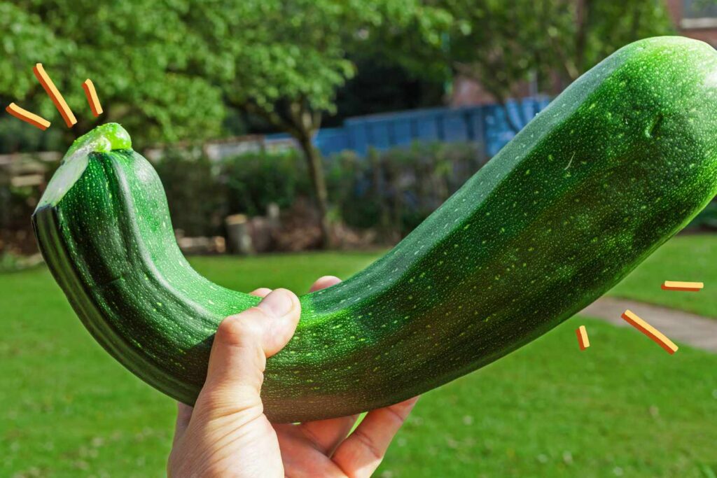 The Best Way To Use a Massive Zucchini, According to a Food Editor