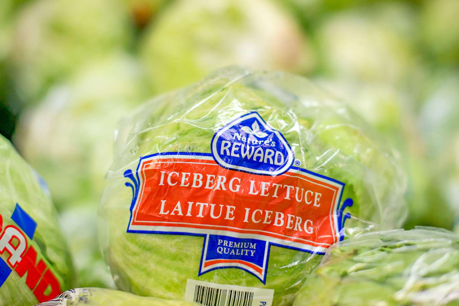 The Only Way You Should Store Lettuce, According to an Expert